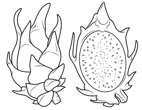 Dragon Fruit And Its Cross Section Coloring Page